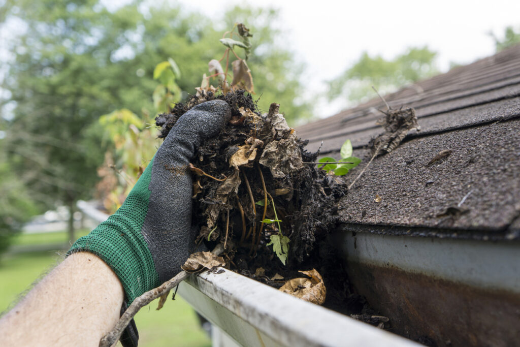 rain gutter cleaning near me