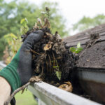 gutter cleaning near me