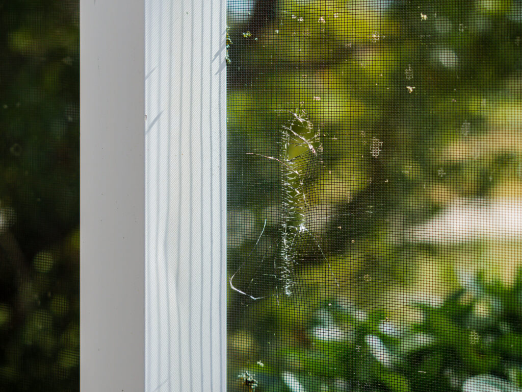 Swimming,Pool,Cage,Frame,Enclosure,Mosquito,Screen,With,Hole.,Torn